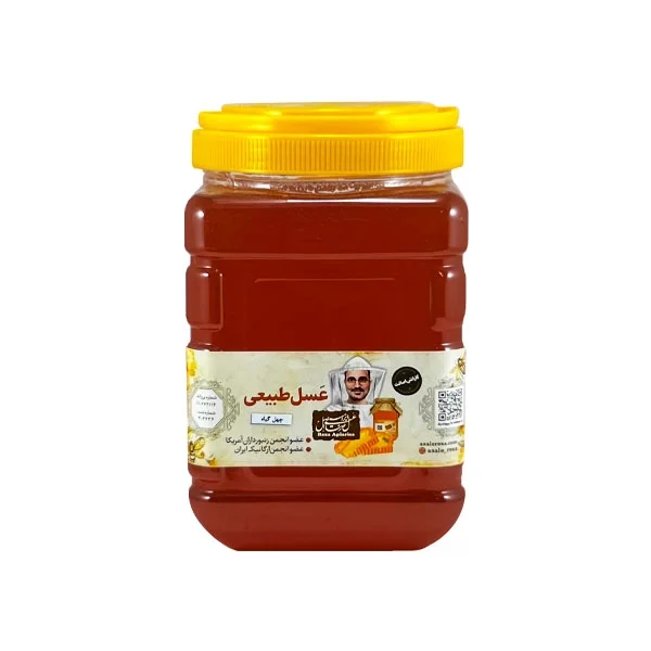 عسل چهل گیاه طبیعی 3 کیلو