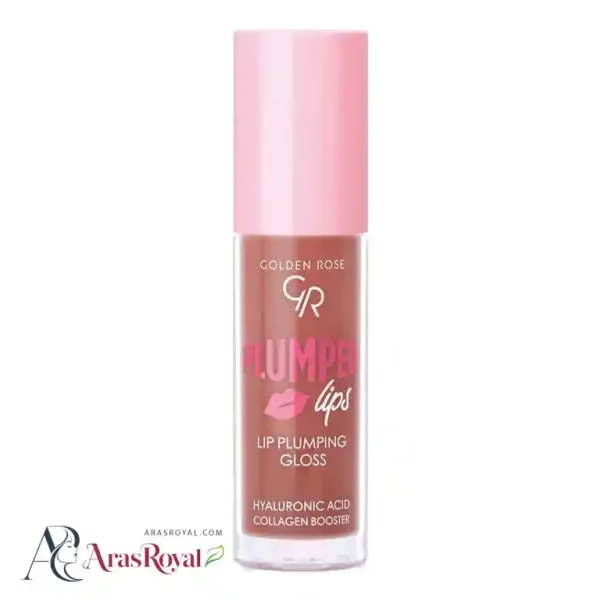 لیپ گلس حجم دهنده گلدن رز Golden Rose شماره 208
