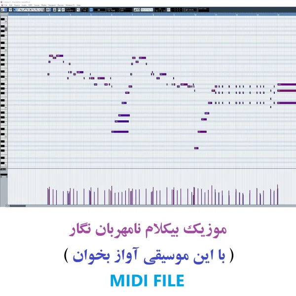 موزیک بیکلام نامهربان نگار با این موسیقی آواز بخوان MIDI